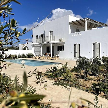 White Pearl Villa Naxos With Private Swimming Pool Naxos City Екстер'єр фото