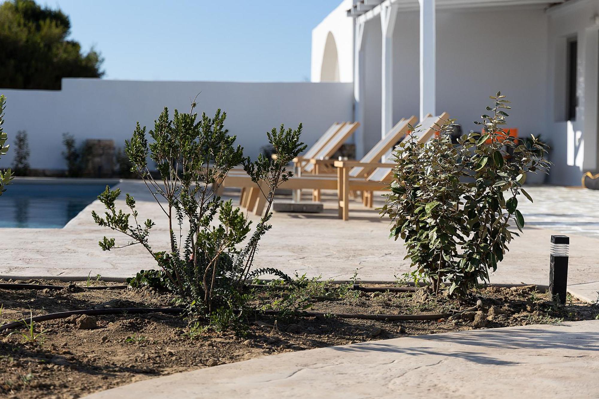 White Pearl Villa Naxos With Private Swimming Pool Naxos City Екстер'єр фото