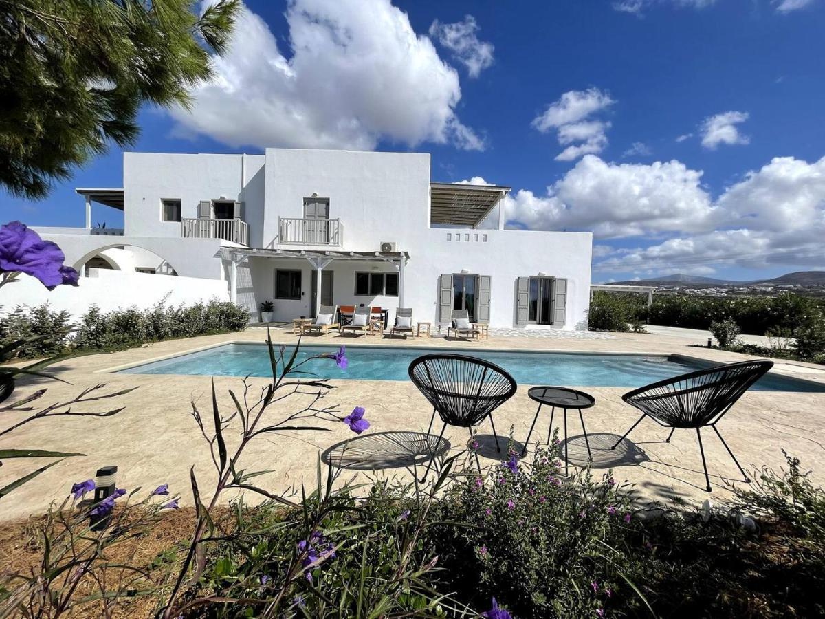 White Pearl Villa Naxos With Private Swimming Pool Naxos City Екстер'єр фото