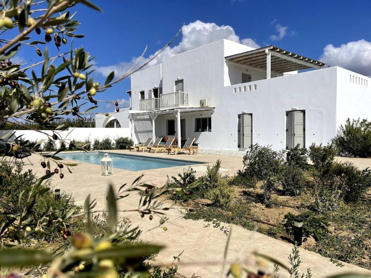 White Pearl Villa Naxos With Private Swimming Pool Naxos City Екстер'єр фото
