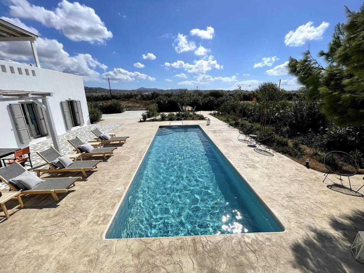 White Pearl Villa Naxos With Private Swimming Pool Naxos City Екстер'єр фото